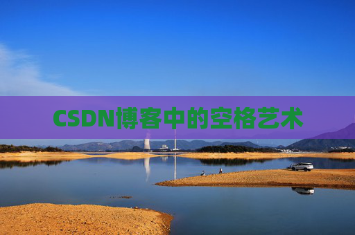 CSDN博客中的空格艺术